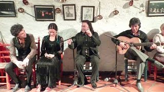 Luis de Luis Bailaor granadino de familia gitana y flamenca