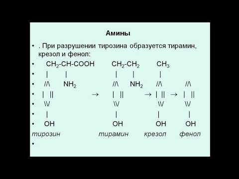 Video: Razlika Med Fenilalaninom In Tirozinom