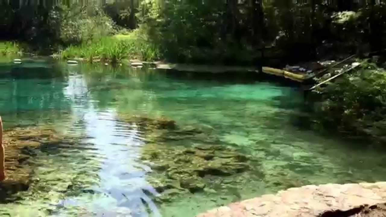 Blue hole ichetucknee springs Fl.2015 YouTube