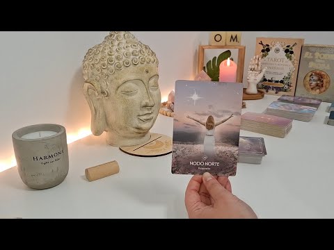🛸✨️ ONLY THE CHOSEN WILL SEE THIS READING ✨️🛸