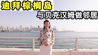 迪拜棕榈岛，国际富豪度假区The Palm Jumeirah,与贝克汉姆为邻！