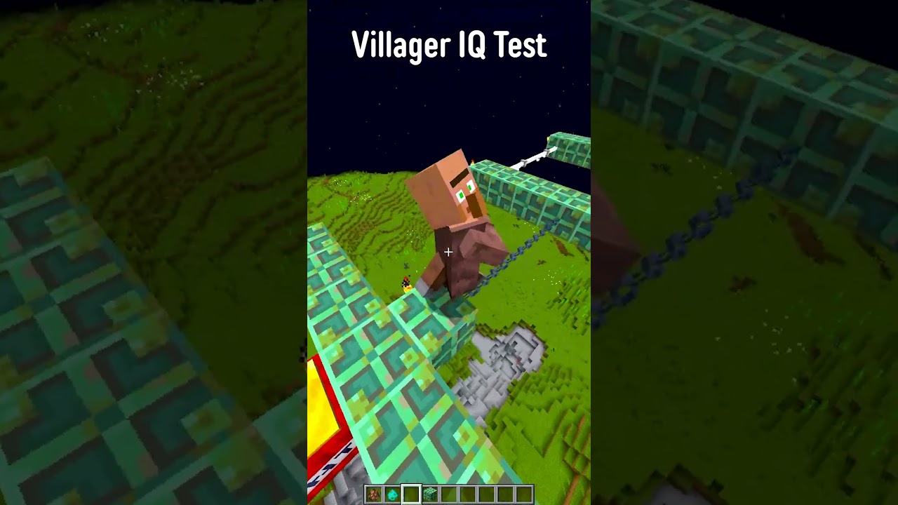 Villager IQ Test 