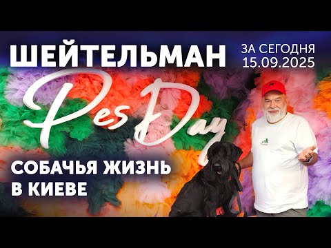 YouTube видео