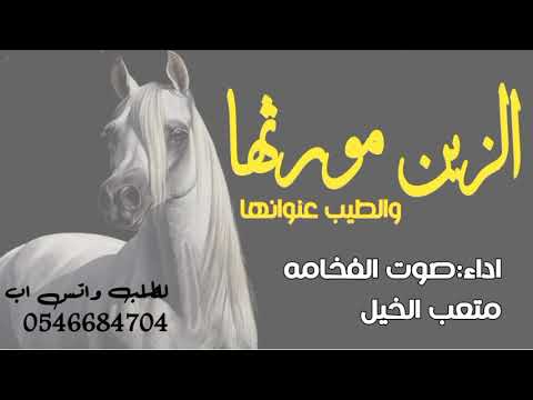 شيلة الزين مورثها والطيب عنوانها اداء متعب الخيل 2023 شيلة تفرق عن الغيد اداء متعب الخيل شيلات 2023