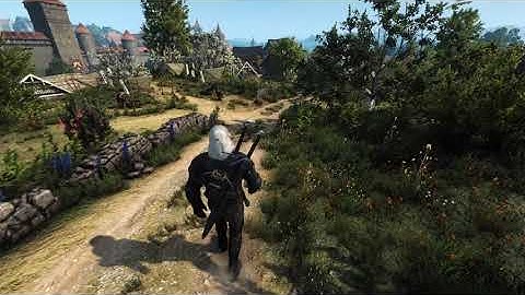 The Witcher 3 SCAAR + W3EE Redux - Test SCAAR movement animations