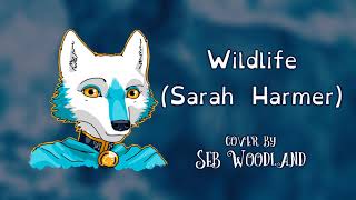 Watch Sarah Harmer Wildlife video