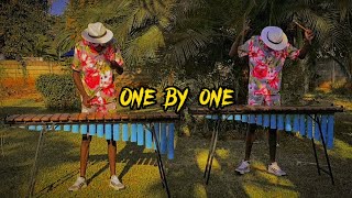 One by One Julian King x Saintfloew Marimba Cover #365days day 146