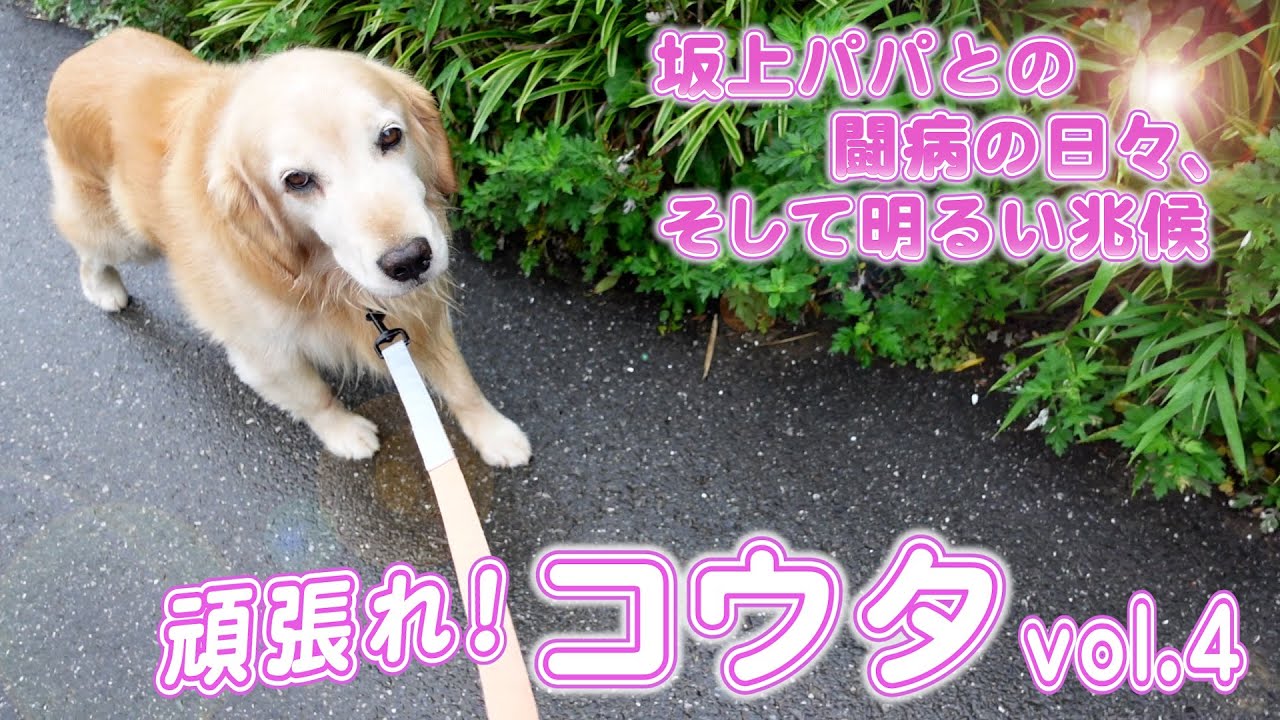 コウタ 頑張れ 闘病の日々を照らすひとすじの光 Youtube