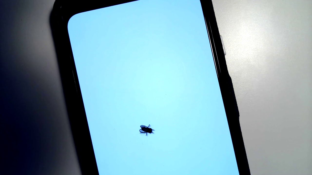 Soli Sandbox: Housefly