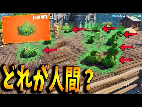 Fortnite ブッシュの効果 フォトナ 攻略大百科