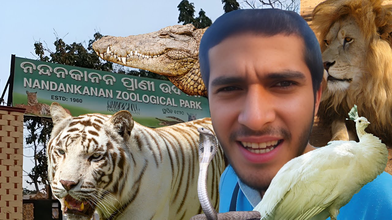 Explore India's Wildest Zoological Park | Nandankanan, Odisha | Rarest Species in Nandankanan Zoo!