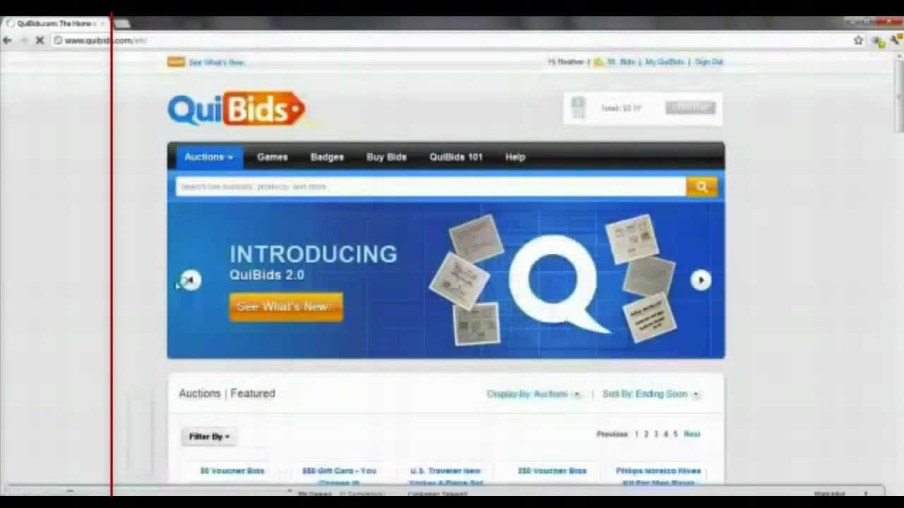 Bids That Give Overview