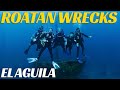 Scuba Diving El Aguila Shipwreck - Roatan Shipwrecks -Kids Sea Camp-  Ep 103