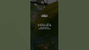"وكلهم آتيه يوم القيامة فردا" تلاوه هادئه ومريحه للقلب ✨️💛 | القارئ عبدالرحمن مسعد 🥀💙