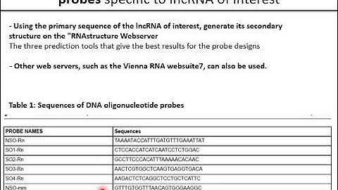RNA Pull-down Procedure to Identify RNA Targets of a Long Non-coding RNA; (Training program Day 2 )