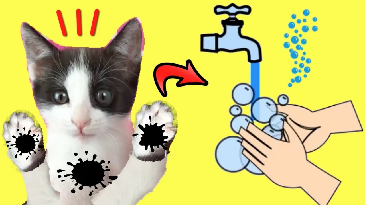 Lavarse las manos con mis gatitos bebés Luna y Estrella jugando con juguetes para niños FUNNY CATS