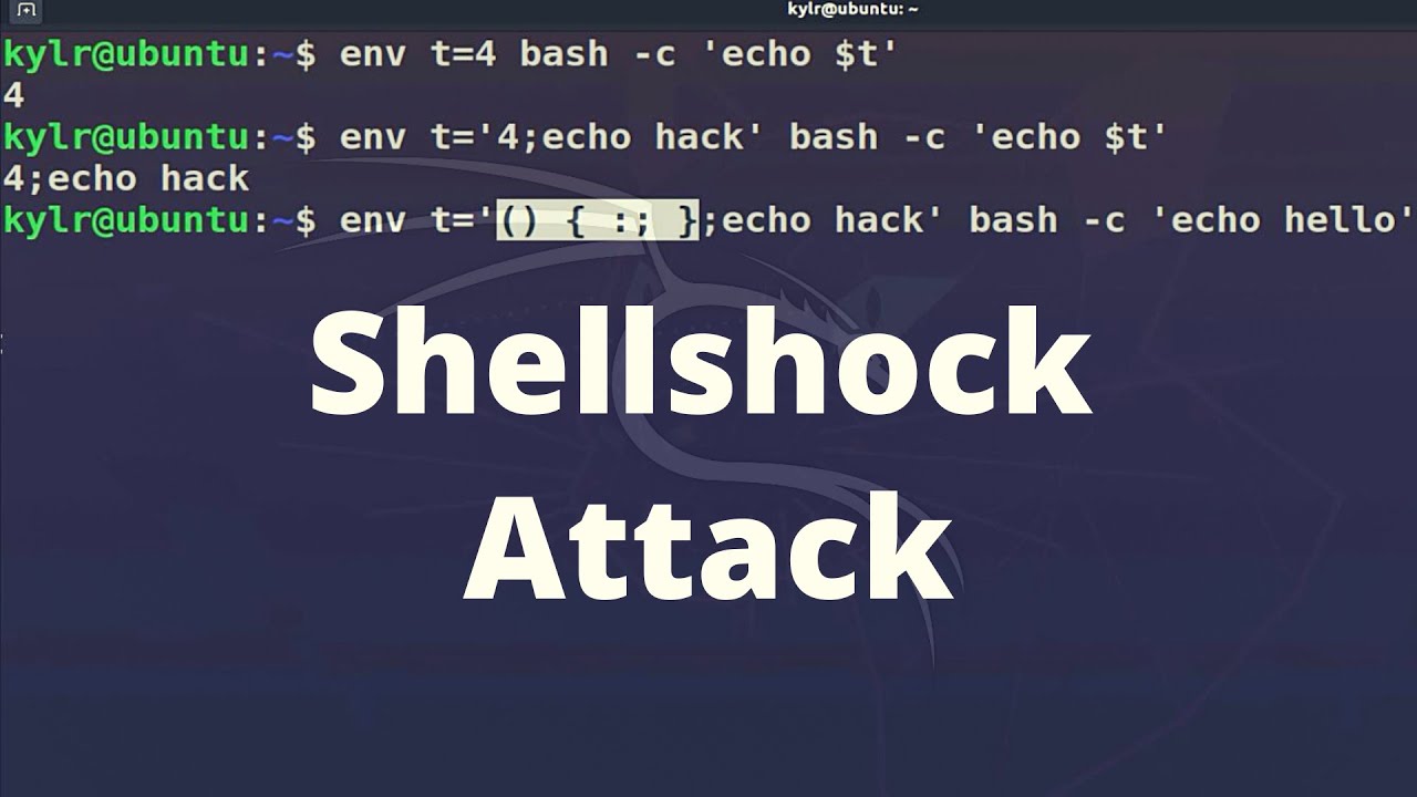 ShellShockHunter - It's A Simple Tool For Test Vulnerability Shellshock