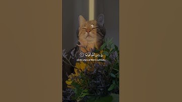قرآن کریم #تلاوة_خاشعة #راحة_نفسية #اكسبلور
