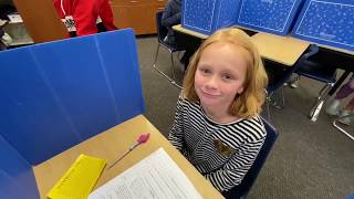 UDL Student Perspective
