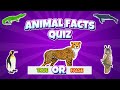Animal facts  true or false challenge