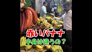 赤バナナってどんなバナナ？#shorts #india #redbanana