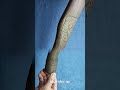 Топорище «Волк» Carved Ax Handle «Wolf» &amp;10 #shorts