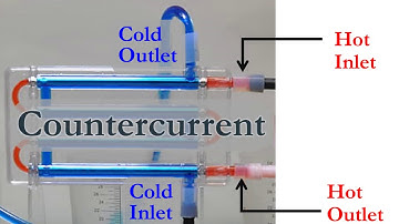 Double Pipe LC-DLM Flow Patterns Tutorial