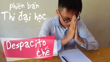 Despacito chế ( Phiên bản thi đại học ) | MiNi Anti