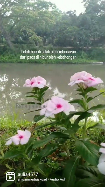 selamat siang 😀💪