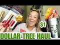 DOLLAR TREE HAUL | BRAND NEW ITEMS| NAME BRAND FINDS | NEW