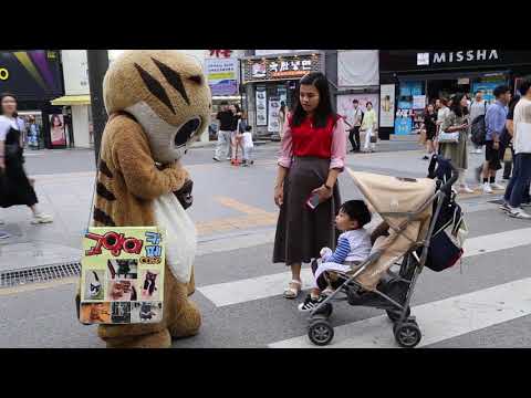 JHKTV] shin chon special cat &amp;amp; <strong>Foreigner</strong> 신촌 명물고양이 와 외쿡사람