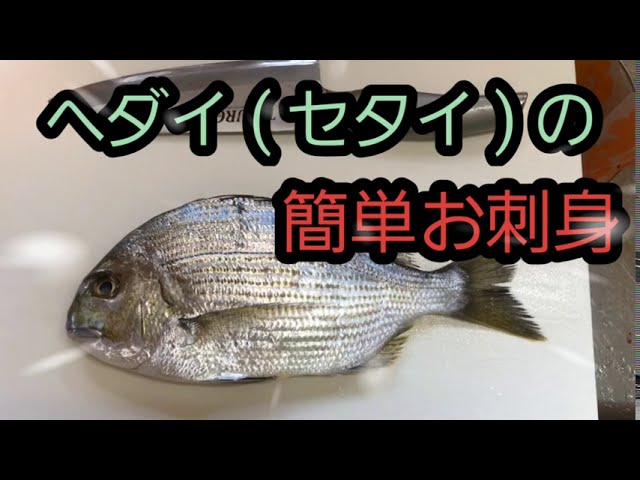 家庭でできる ヘダイ セタイ の簡単お刺身 Youtube