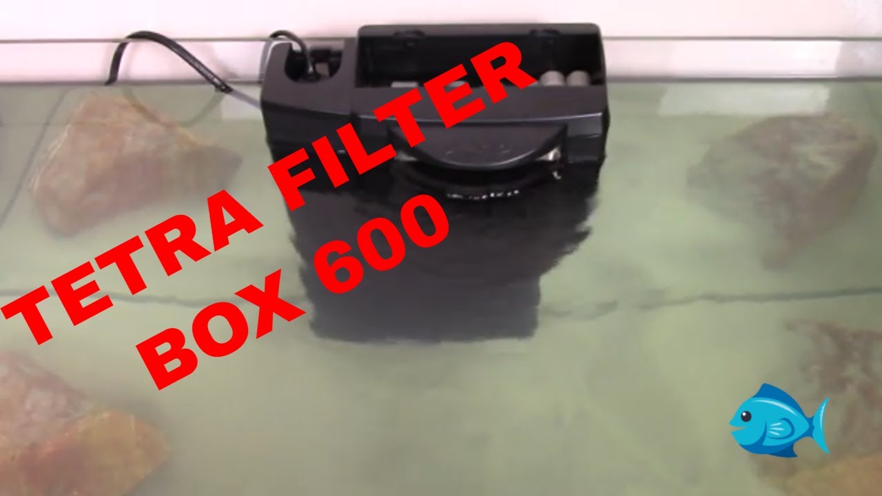 Tetra Filter Box 600 Review YouTube