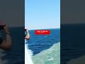 Gulf of Alaska #Viralreels #reelsindia #viralvideo #viralworld #viral_video
