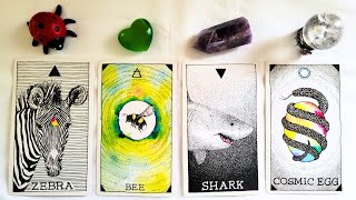 🍀💐 HOW ARE THEY FEELING ABOUT YOU RIGHT NOW?? 😍💚📗 Detailed PICK A CARD Timeless Love Tarot Reading screenshot 3