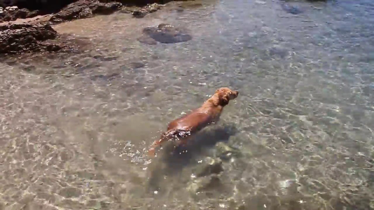 Hundestrand in Silo auf der Insel Krk - Kroatien - YouTube