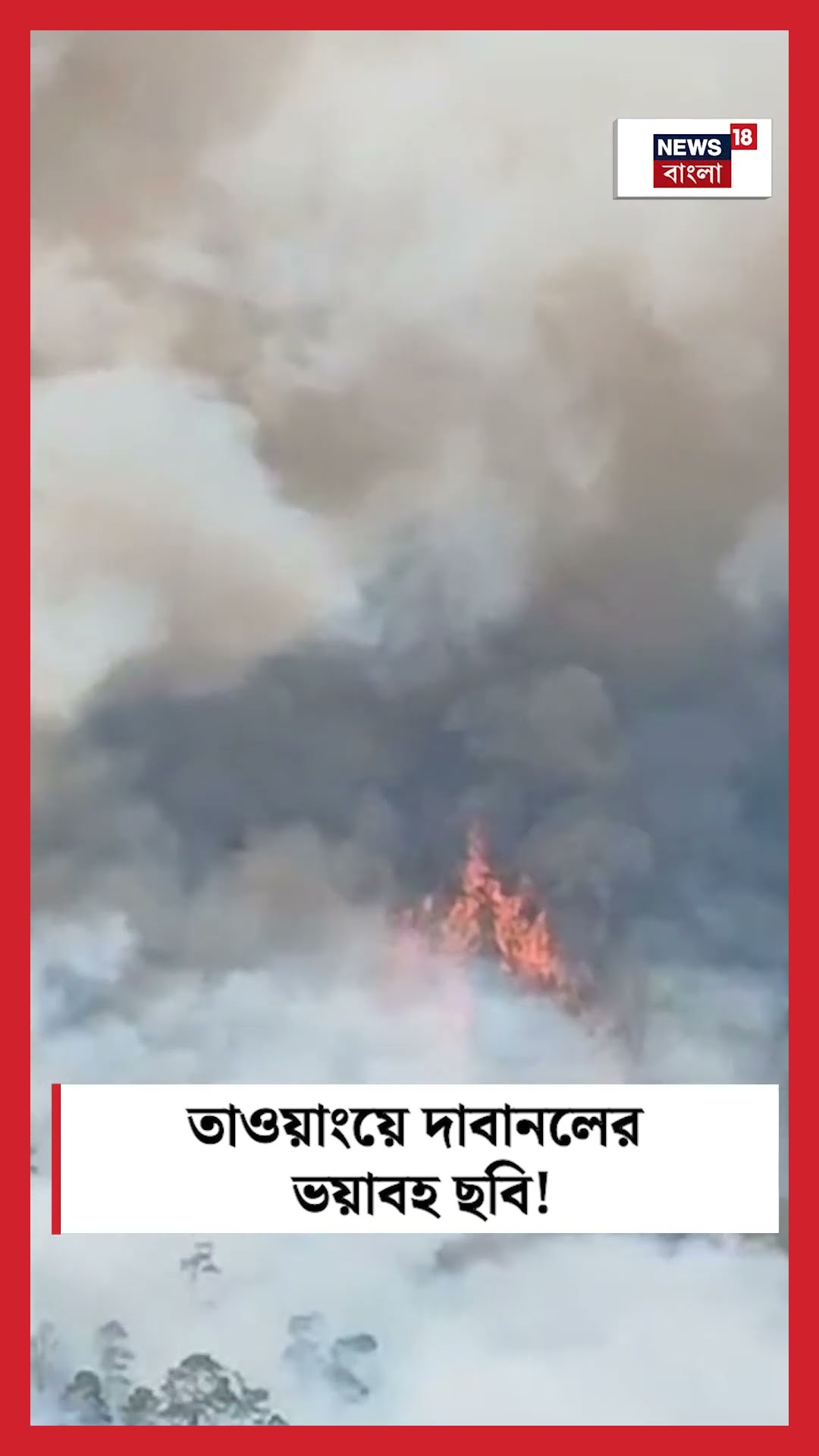 Tawang এ Wild Fire এর ভয়াবহ ছবি! । N18S #shorts