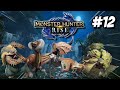 The Rampage Approaches - Monster Hunter Rise Gameplay
