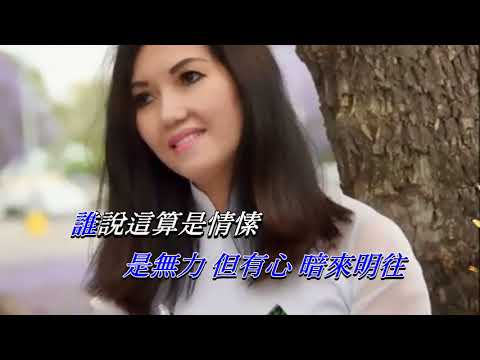 有心人   張國榮〈卡拉伴奏版〉