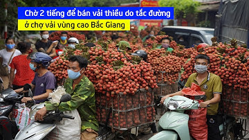 Chờ 2 tiếng để bán vải thiều do tắc đường ở chợ vải vùng cao Bắc Giang