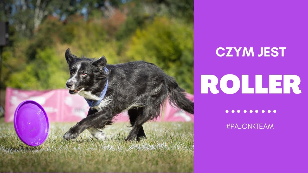 ROLLER  🔥 - czym jest i jak go rzucać? 💪