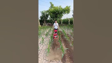 #grasser #Weeding, rotary tillage, trenching and soil cultivation  one machine