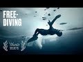 Free-Diving Under Ice, There Is 'No Place for Fear'