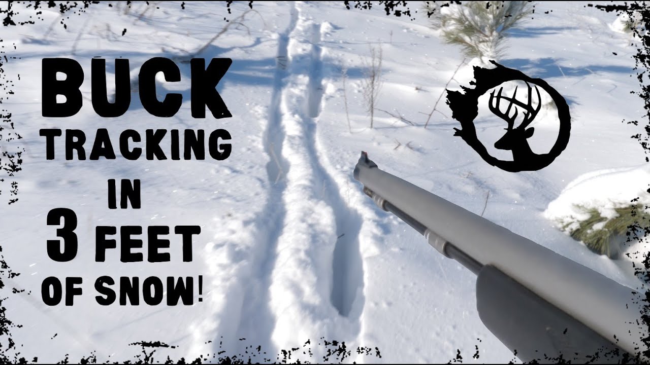 WI BUCK TRACKING in DEEP SNOW The "BAIT PILE BUCK" YouTube