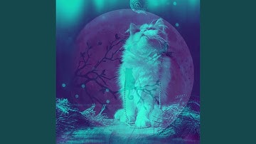 Tranquil Lazy Cat Days