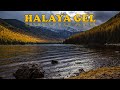 HALAYA GEL - Nurik (AHISKA MÜZIK)(Ахыска)