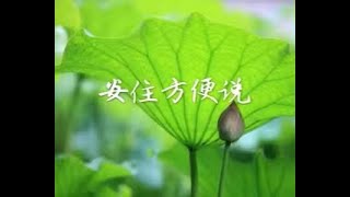 201605 安住方便说40044