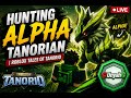 Adykahhhhh Tanorian Alpha untukku Hari ini???
