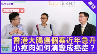 香港大腸癌個案近年急升 小瘜肉如何演變成癌症？ - 鄭丹瑞《健康旦》家庭醫生 #張永德 Part 1 (CC中文字幕)