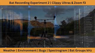 Bat Recording Experiment | Zoom f3 & Clippy Ultras | Reviewing Spectrograms in Izotope RX